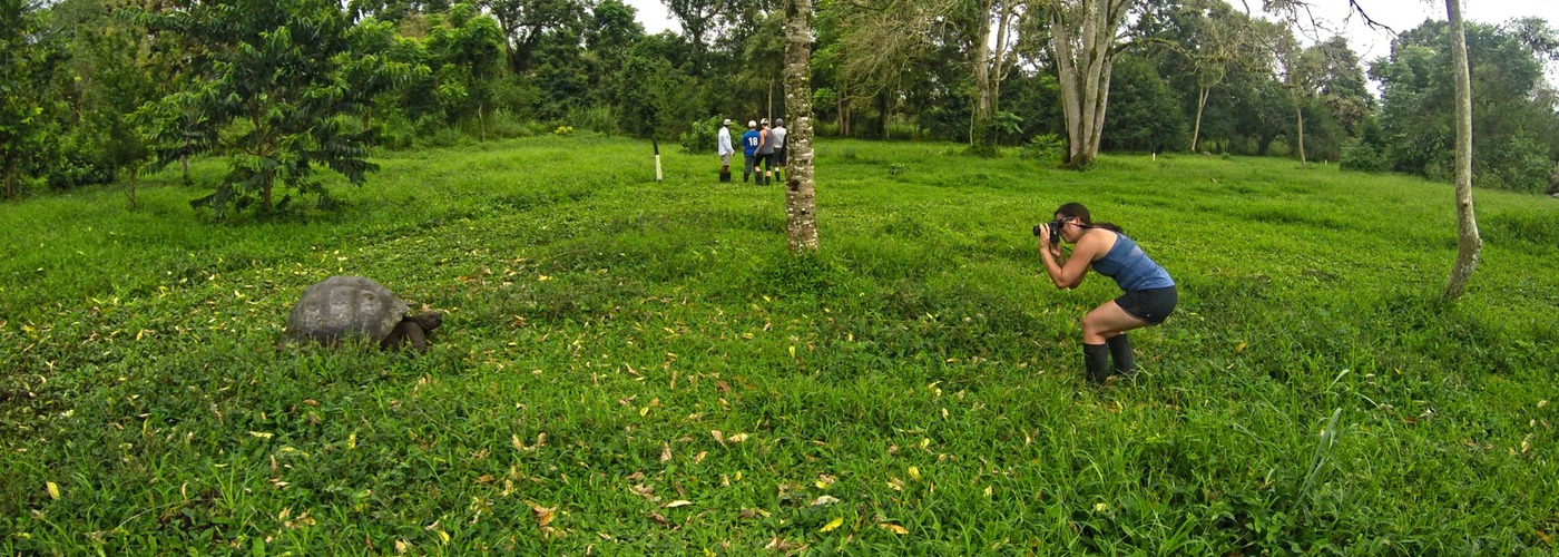 Galapagos Islands _ Giant Tortoise _ Sustainable Land-Based Tours